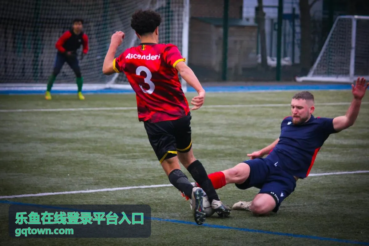 乐鱼在线登录平台多端访问适配