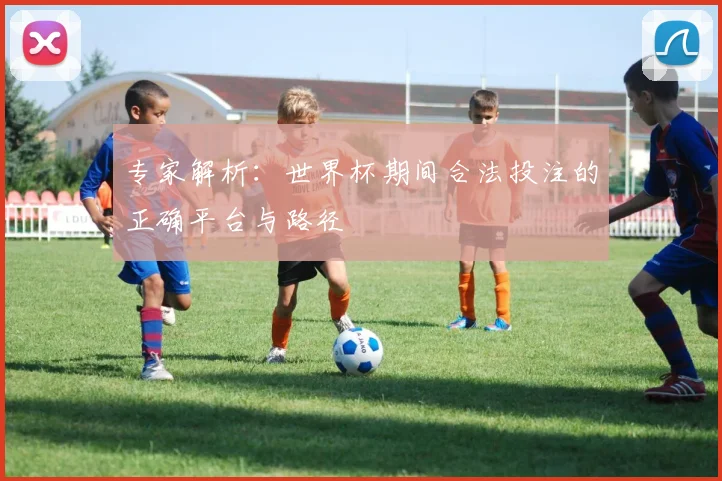 专家解析：世界杯期间合法投注的正确平台与路径